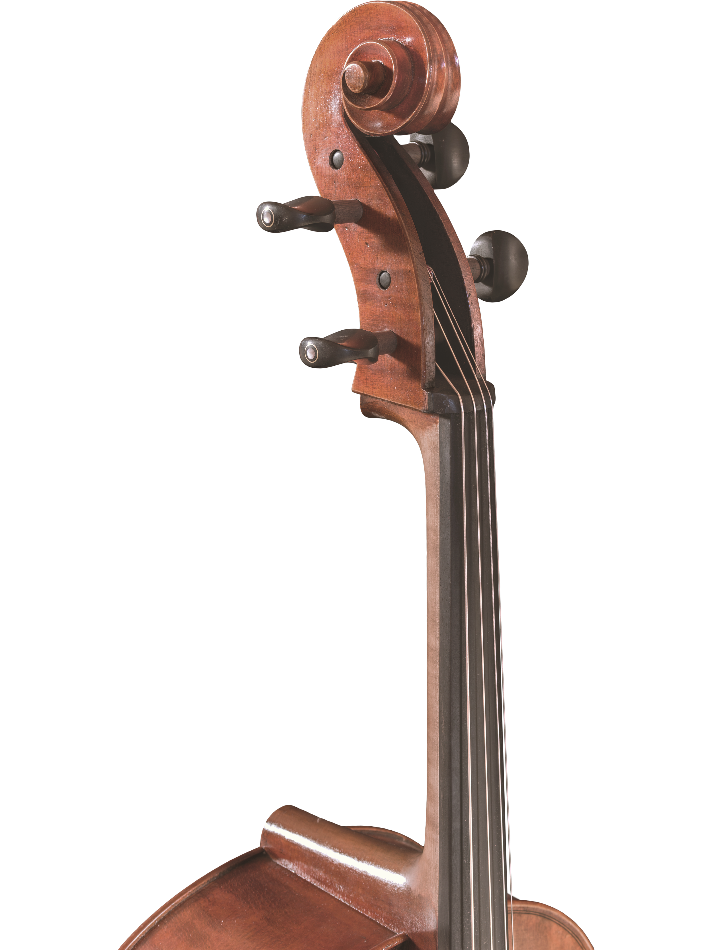 Master Linn Cello — Maple Leaf Strings